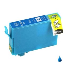 CART. COMPATIBILE EPSON 604...
