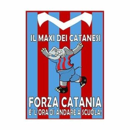 MAXI QUADERNI 20+1ff 80gr B...